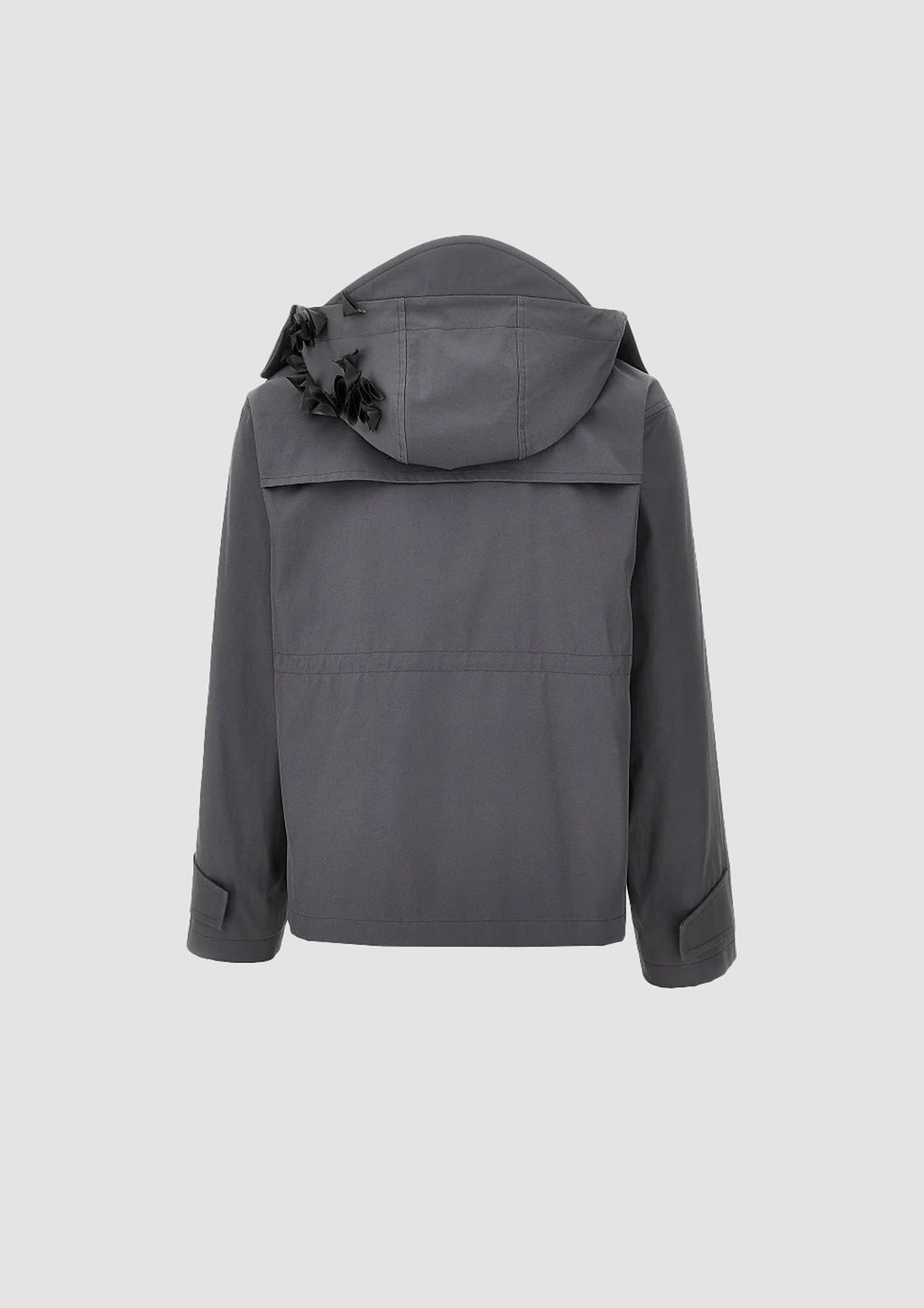 Flower Franz Sahariana